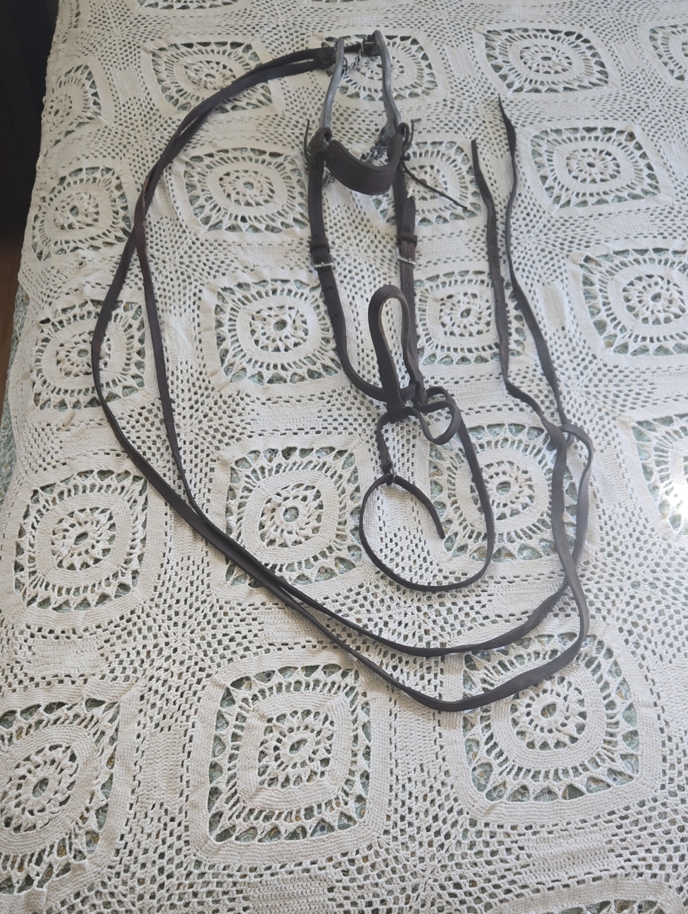 Leather Equistrian Horse Hackamore with Reins